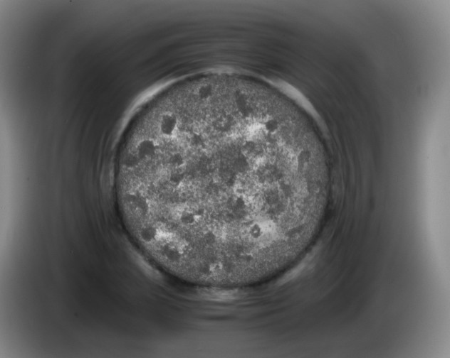 X0000084000831200703091904