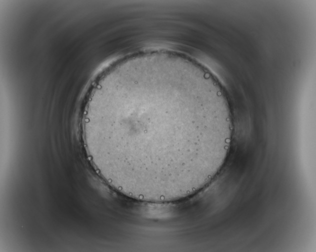 X0000084000832200703091904