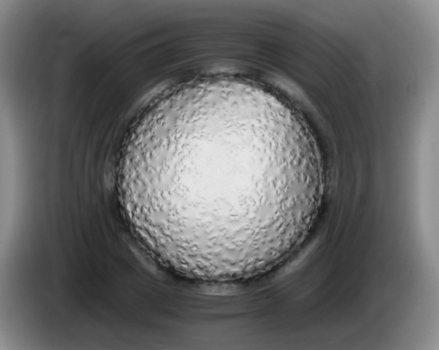 X0000084000833200703091904