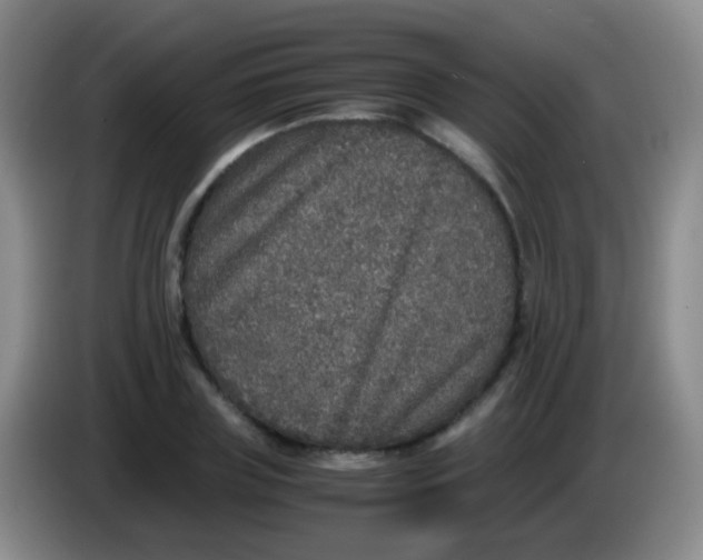 X0000084000835200703091904