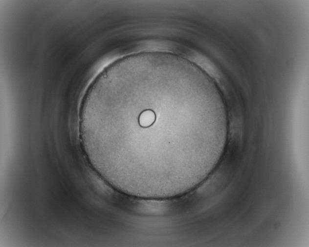 X0000084000836200703091904