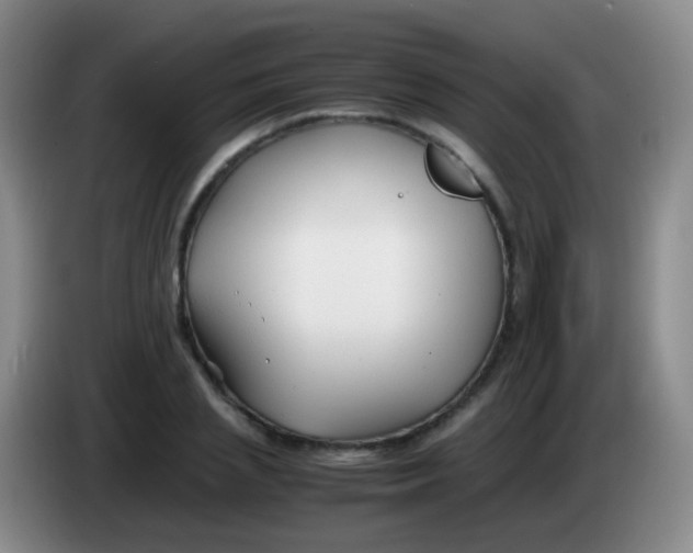 X0000084000837200703091904