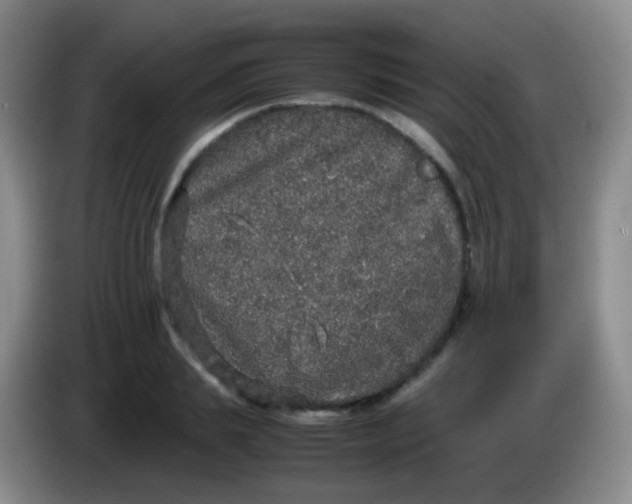 X0000084000839200703091904