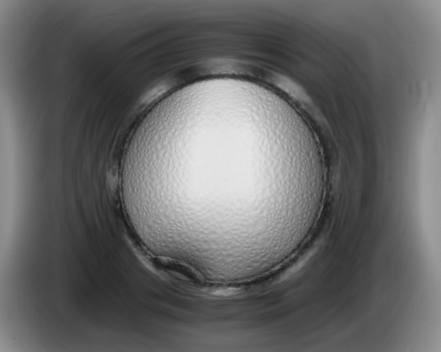 X0000084000841200703091904