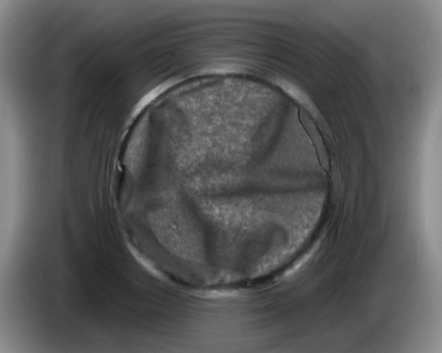 X0000084000842200703091904