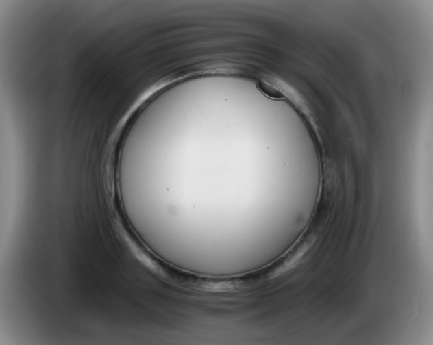 X0000084000843200703091904