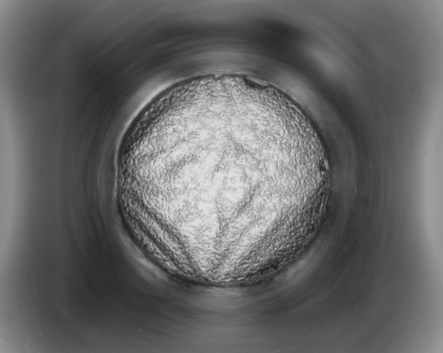 X0000084000844200703091904