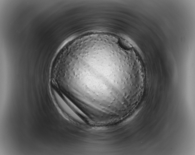X0000084000845200703091904