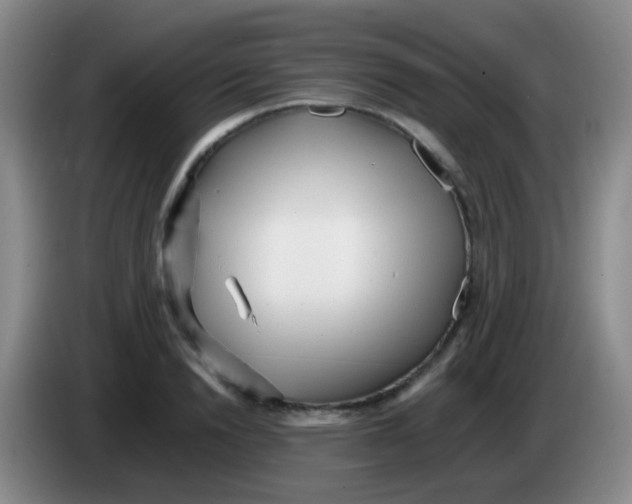 X0000084000846200703091904
