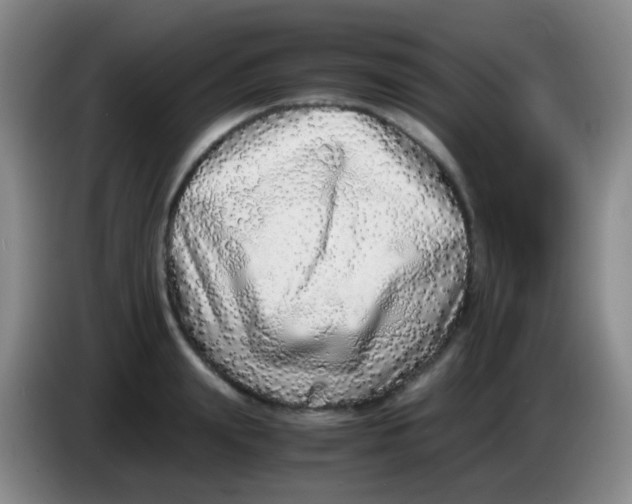 X0000084000847200703091904