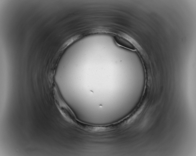 X0000084000849200703091904