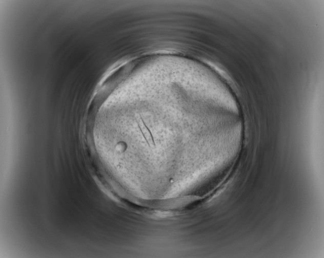 X0000084000850200703091904