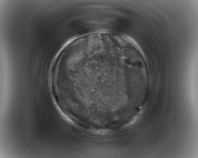 X0000084000851200703091904