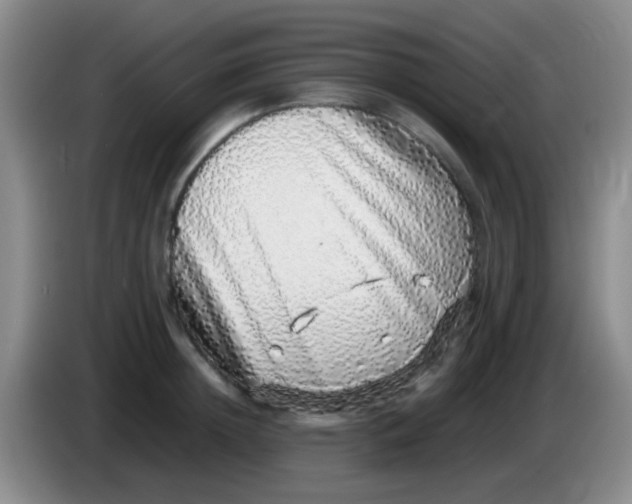 X0000084000852200703091904