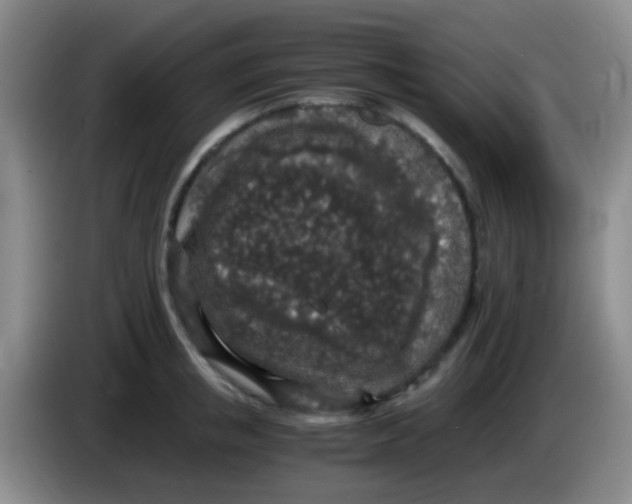 X0000084000853200703091904