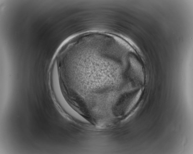 X0000084000854200703091904