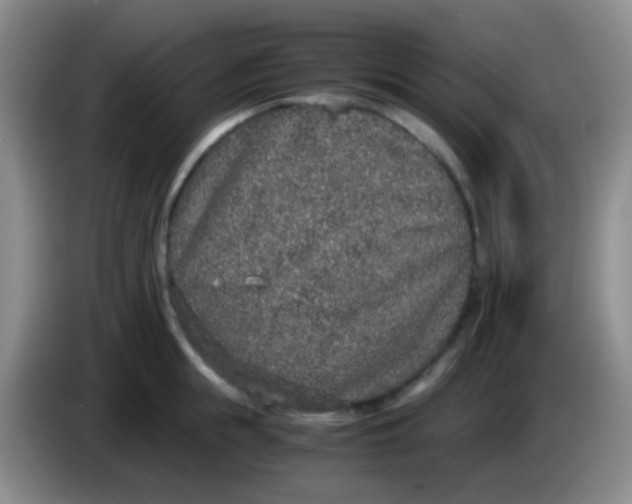 X0000084000855200703091904