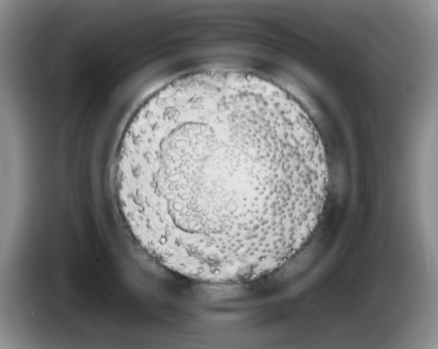 X0000084000856200703091904