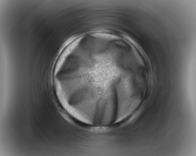 X0000084000858200703091904