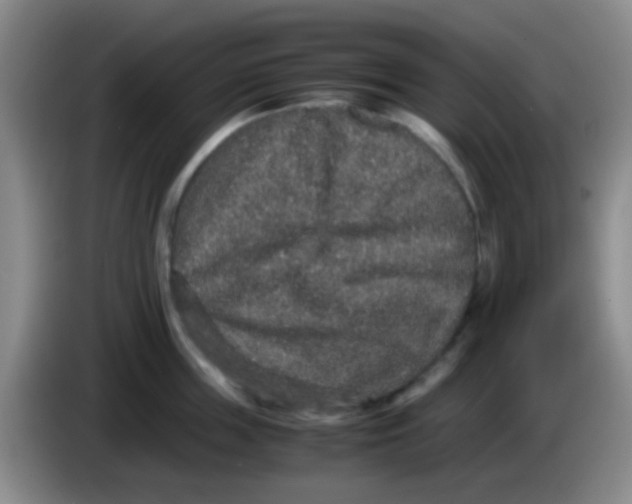 X0000084000859200703091904