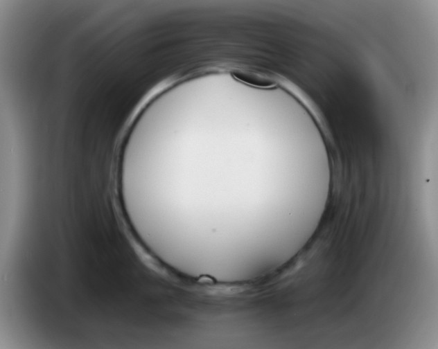 X0000084000861200703091904