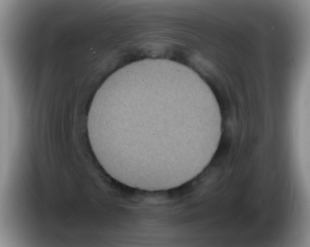 X0000084000865200703091904