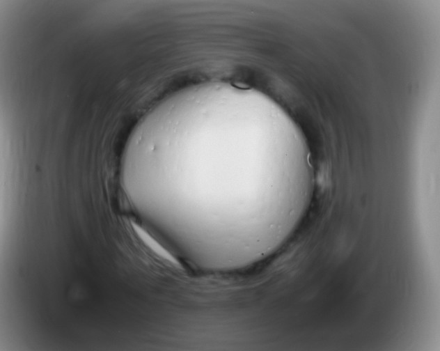 X0000084000867200703091904