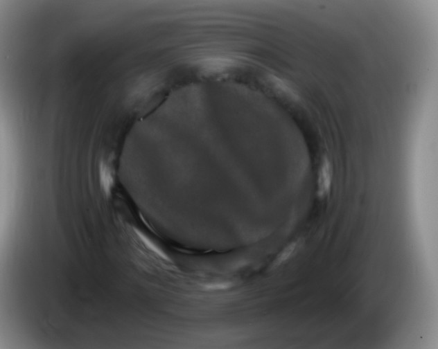 X0000084000868200703091904