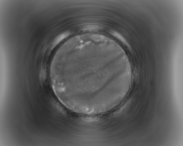 X0000084000874200703091904