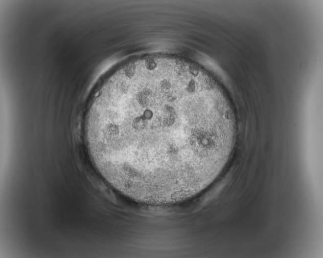 X0000084000875200703091904