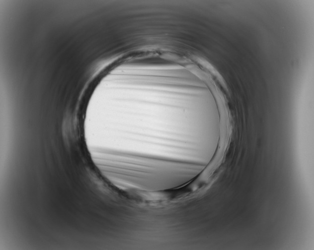 X0000084000876200703091904