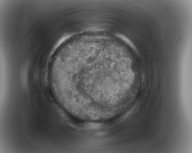 X0000084000878200703091904