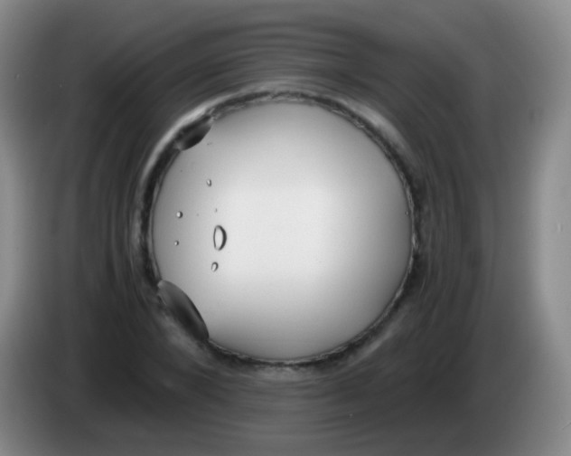 X0000084000880200703091904