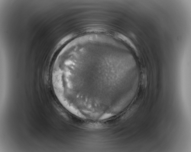 X0000084000882200703091904