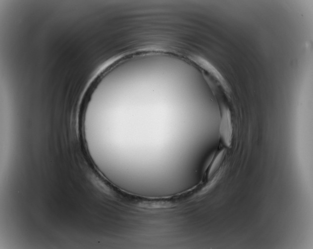 X0000084000884200703091904