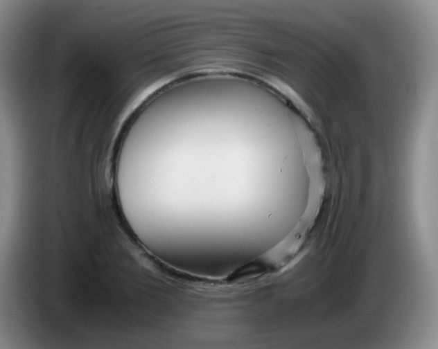 X0000084000885200703091904