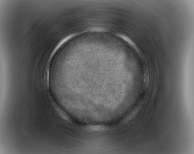 X0000084000886200703091904