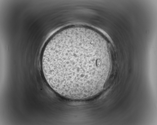 X0000084000887200703091904