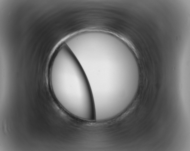 X0000084000888200703091904