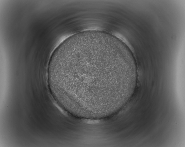 X0000084000890200703091903