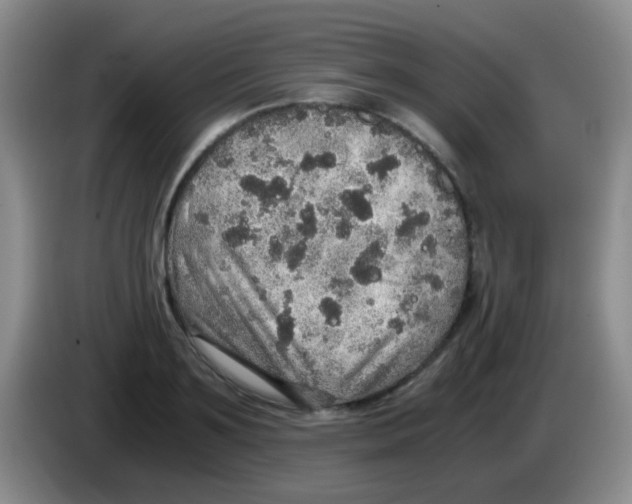 X0000084000891200703091903