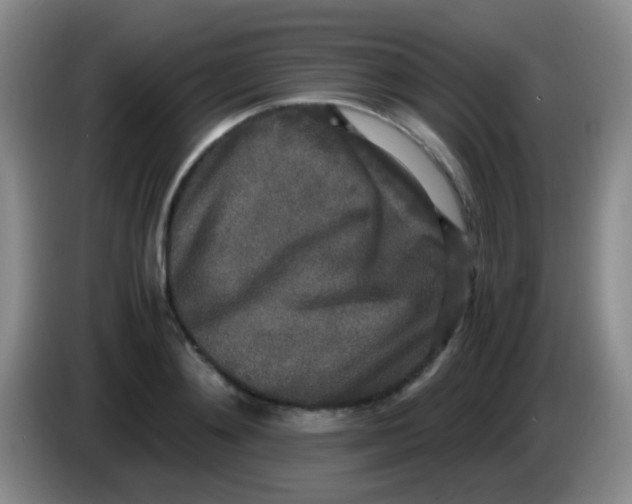 X0000084000892200703091903