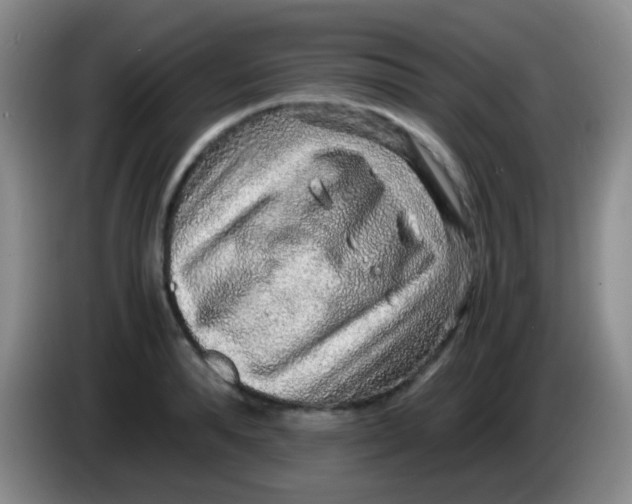 X0000084000896200703091903