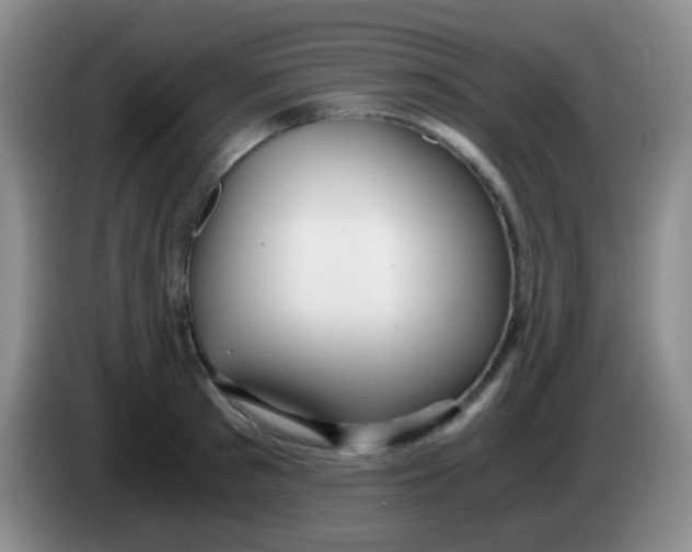 X0000084000897200703091903
