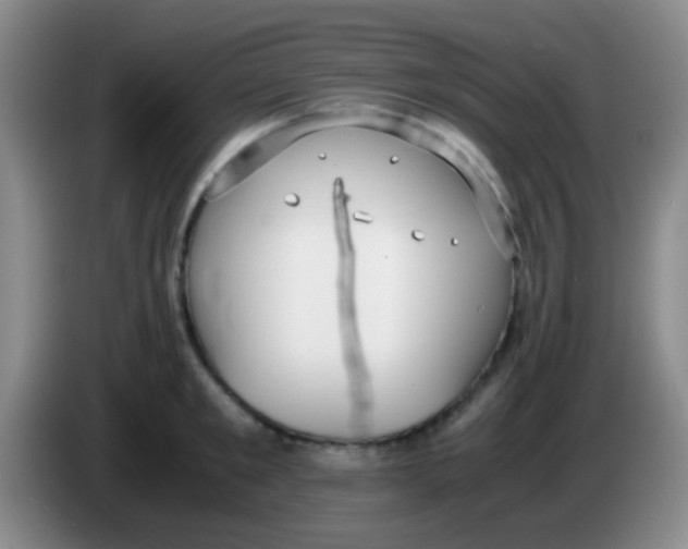 X0000084000901200703091903