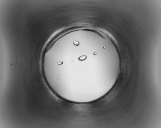 X0000084000902200703091903