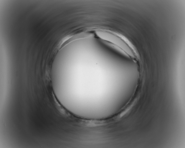X0000084000905200703091903