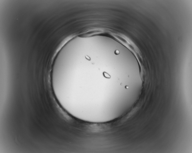 X0000084000906200703091903