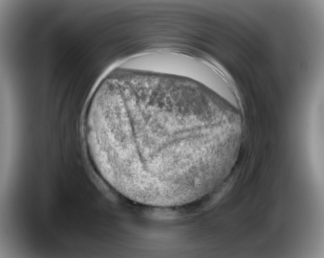 X0000084000907200703091903