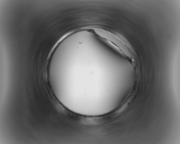 X0000084000908200703091903